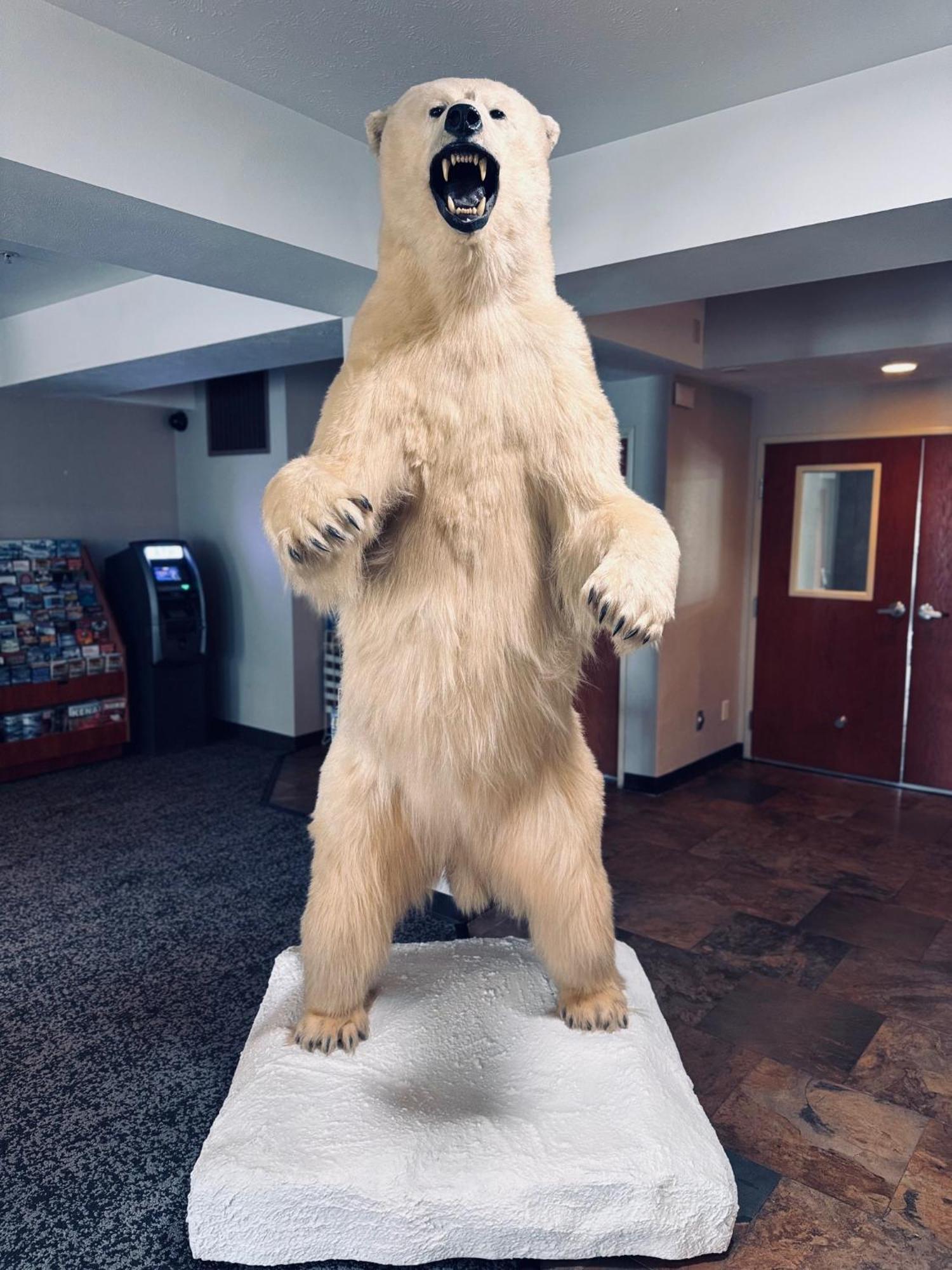 Wyndham Garden Anchorage Airport Hotell Eksteriør bilde